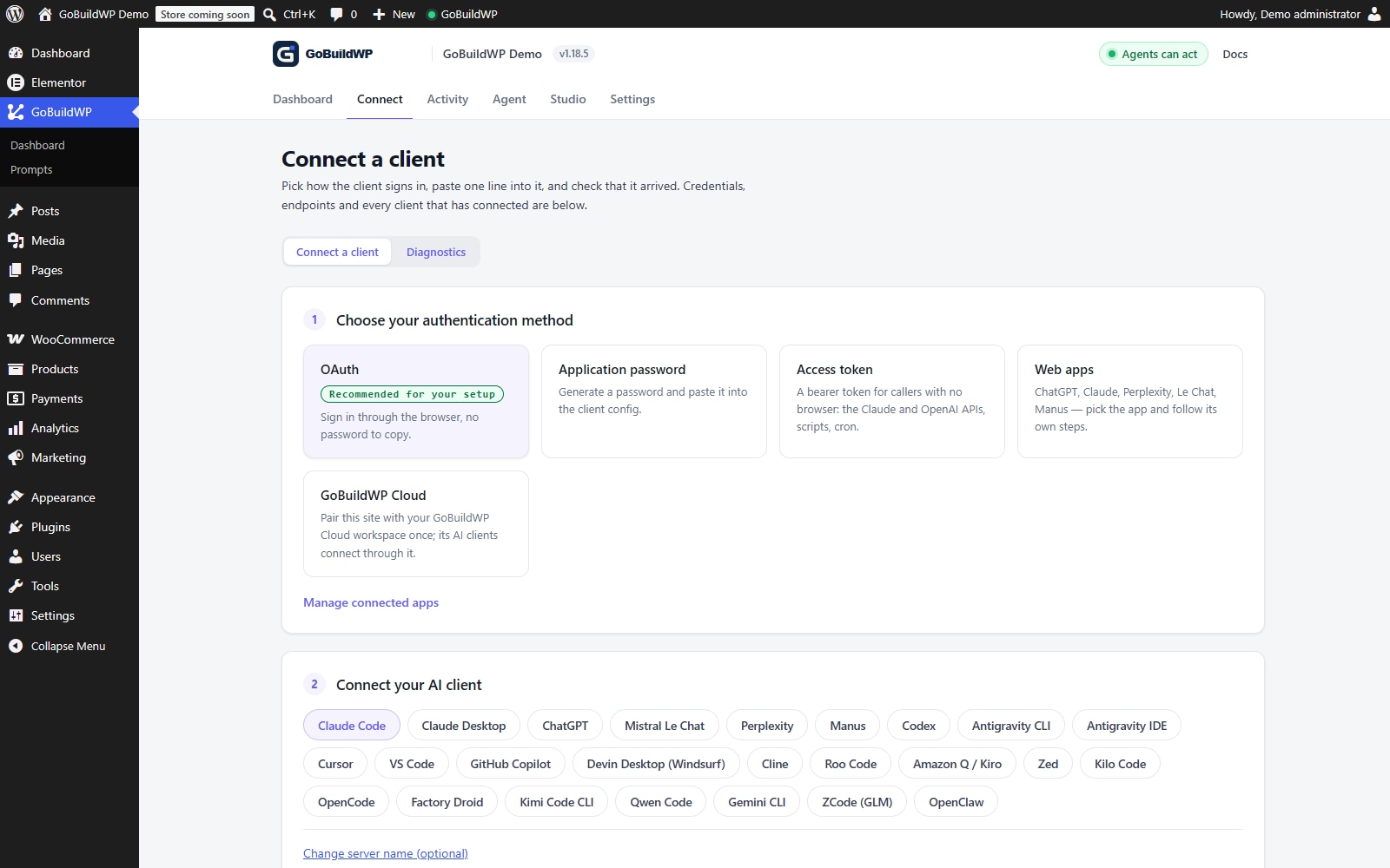 GoBuildWP Connect a client screen in WordPress.