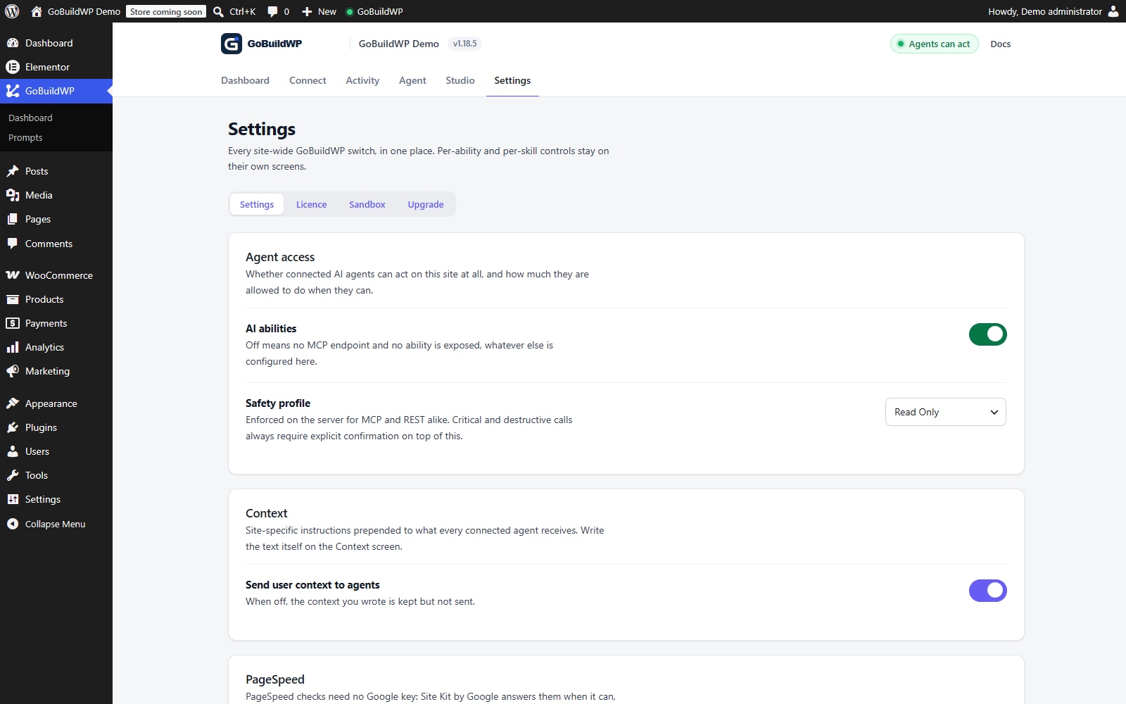 GoBuildWP settings showing the saved Read Only safety profile.